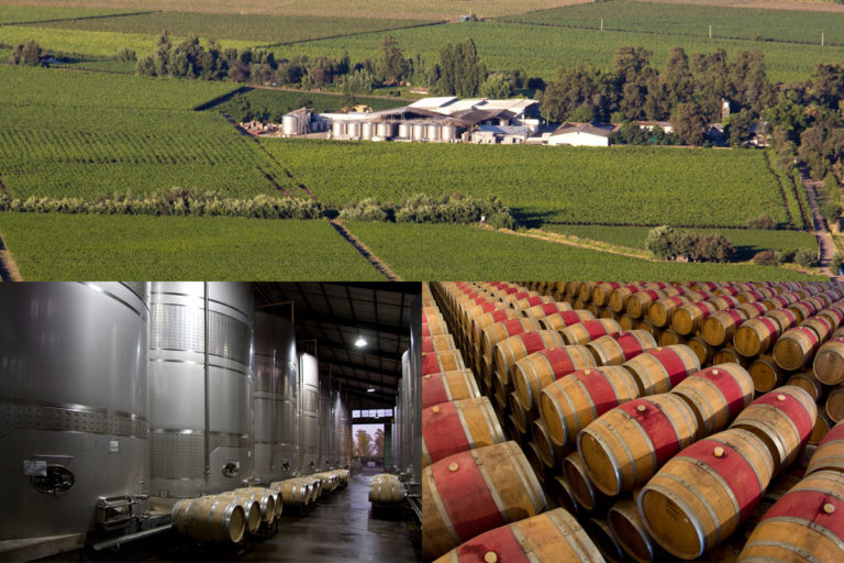 Winery | Finca Patagonia – Chilean Winery